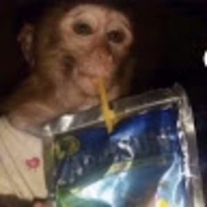 Meet your Posher, Armani